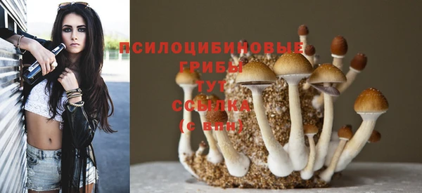 бутират Кукмор