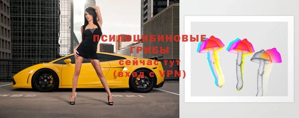 бутират Кукмор