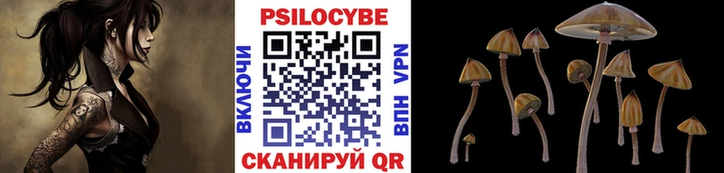 Купить  Нижнеудинск  Псилоцибиновые грибы Magic Shrooms 